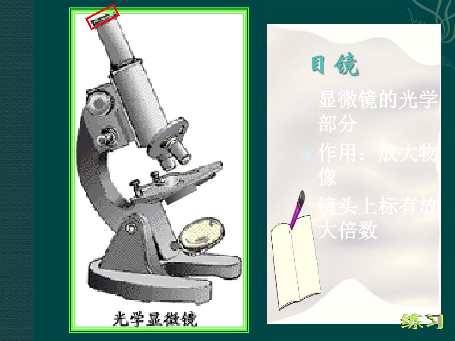 4显微镜的结构和使用ppt课件_第4页