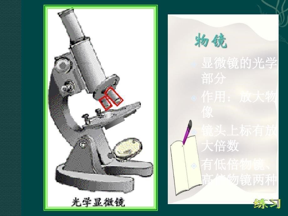 4显微镜的结构和使用ppt课件_第5页