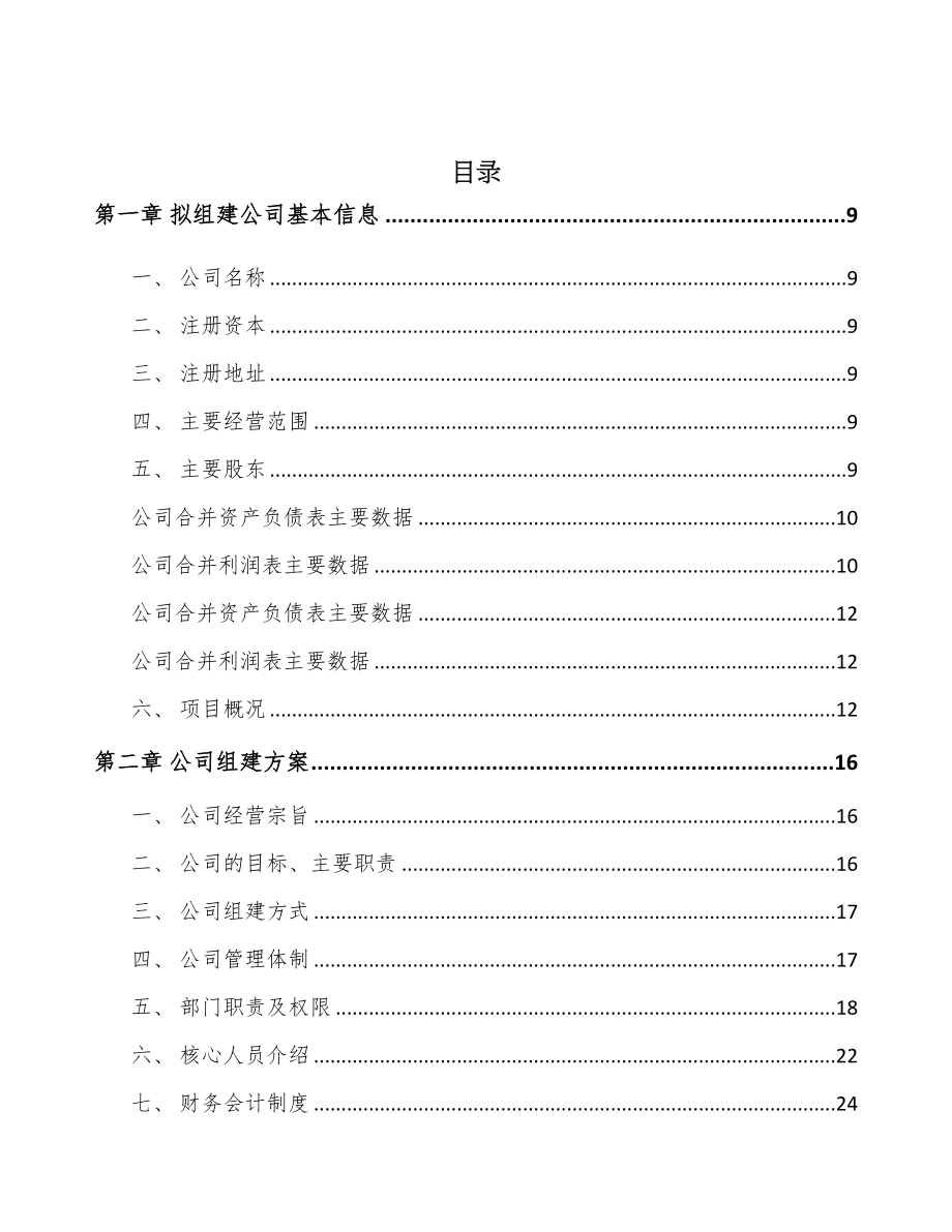 南京关于成立分子筛公司可行性研究报告(DOC 88页)_第2页