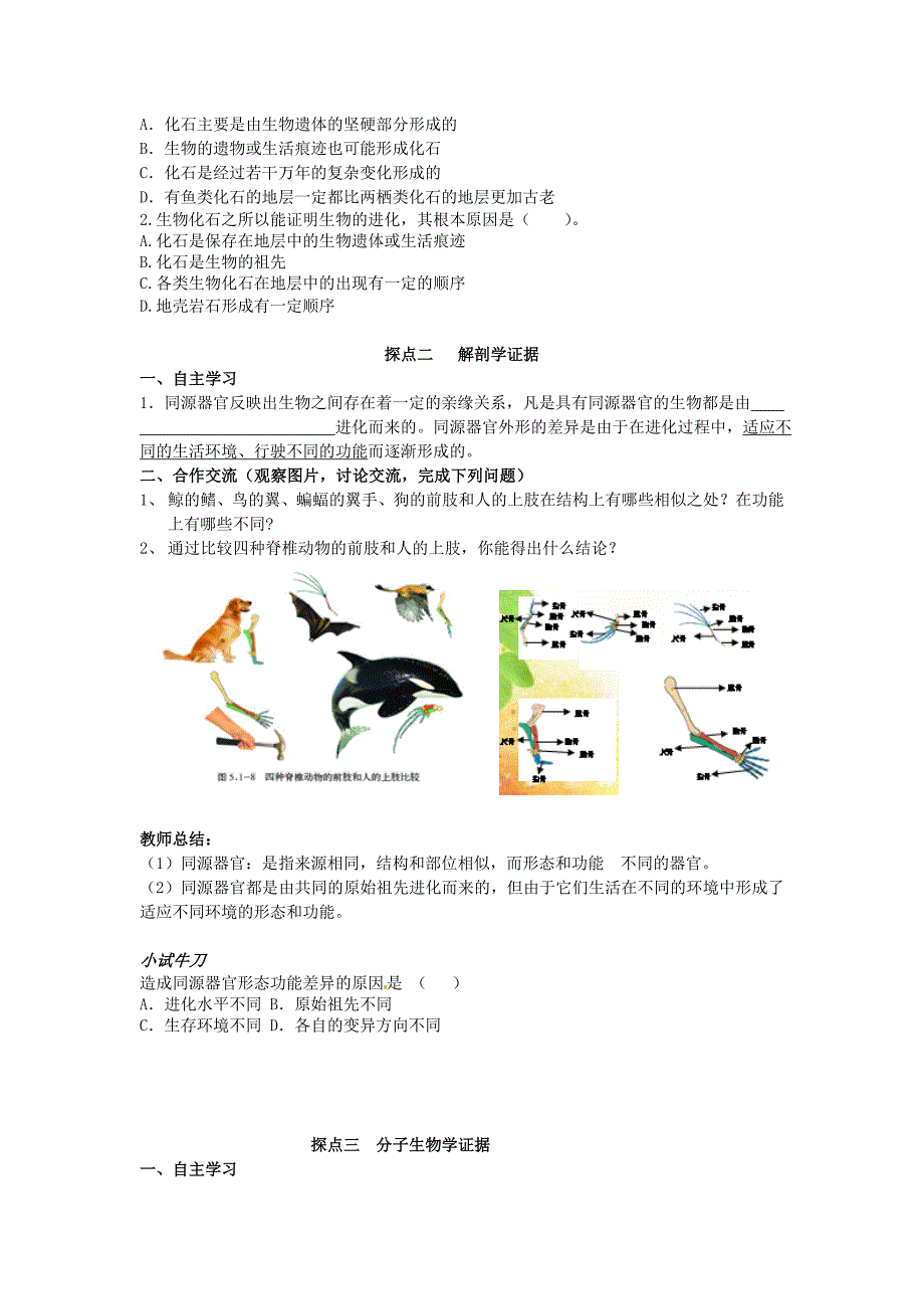 八年级生物下册第五单元第一章第二节生物进化的证据学案无答案济南版_第2页