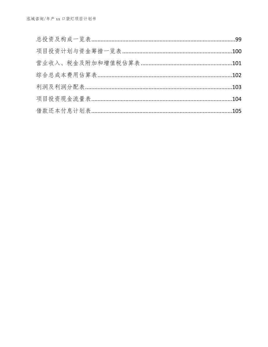 年产xx口袋灯项目计划书【模板范本】_第5页