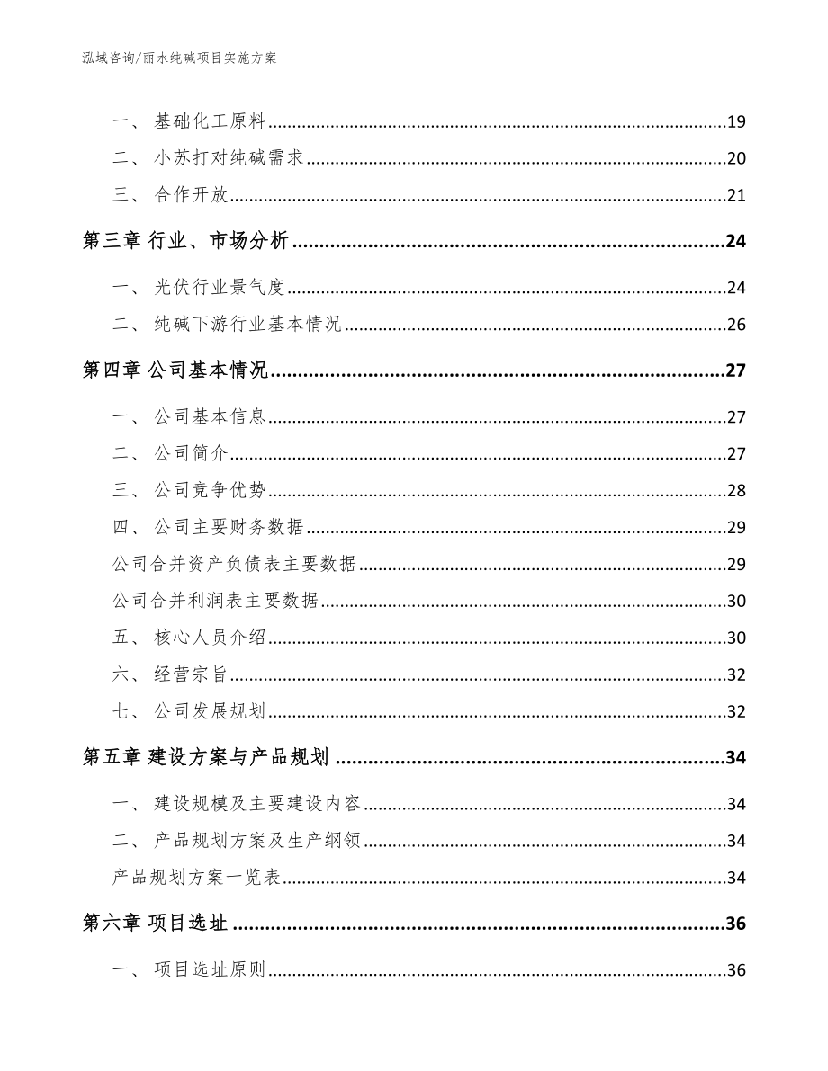 丽水纯碱项目实施方案_第4页