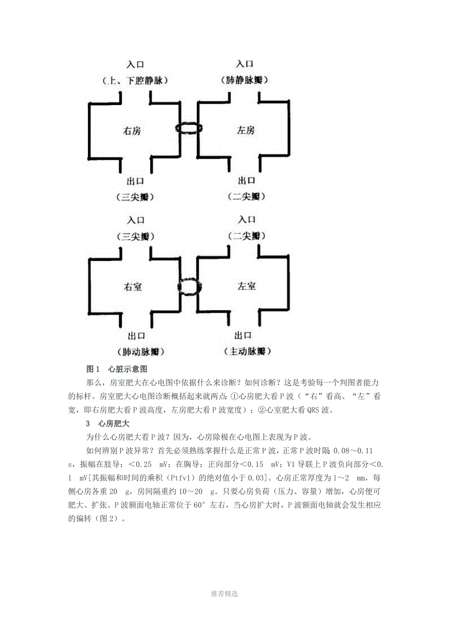 图解心房心室肥大的心电图诊断_第2页