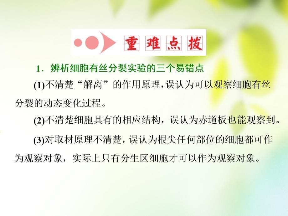 （全国通用）高考生物一轮复习 第1部分 分子与细胞 第四单元 细胞的生命历程 第2讲 观察根尖分生组织的有丝分裂课件_第5页