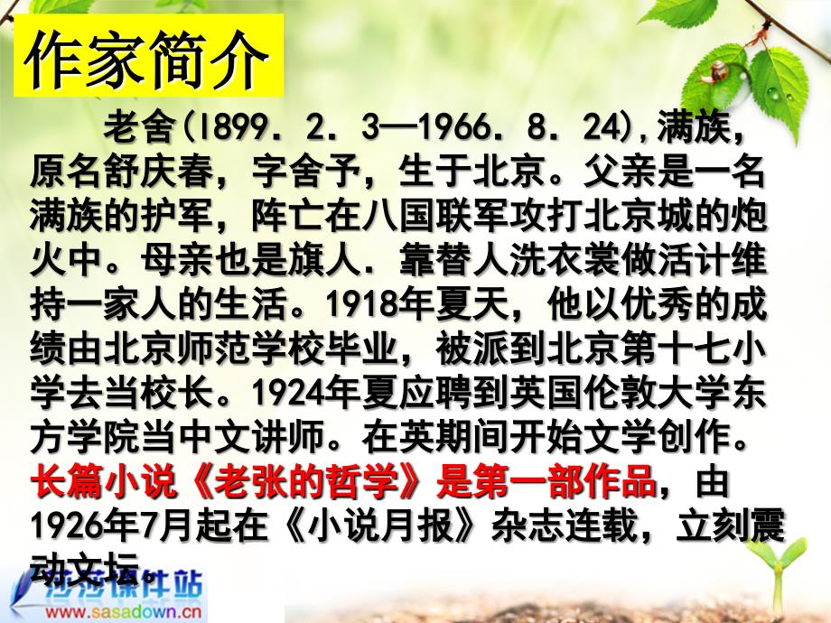 六年年上册《北京的春节》ppt课件.ppt_第3页