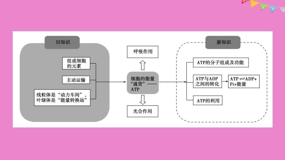 高中生物第五章细胞的能量供应和利用第2节细胞的能量ldquo通货rdquomdashmdashATP课件新人教版必修1_第5页