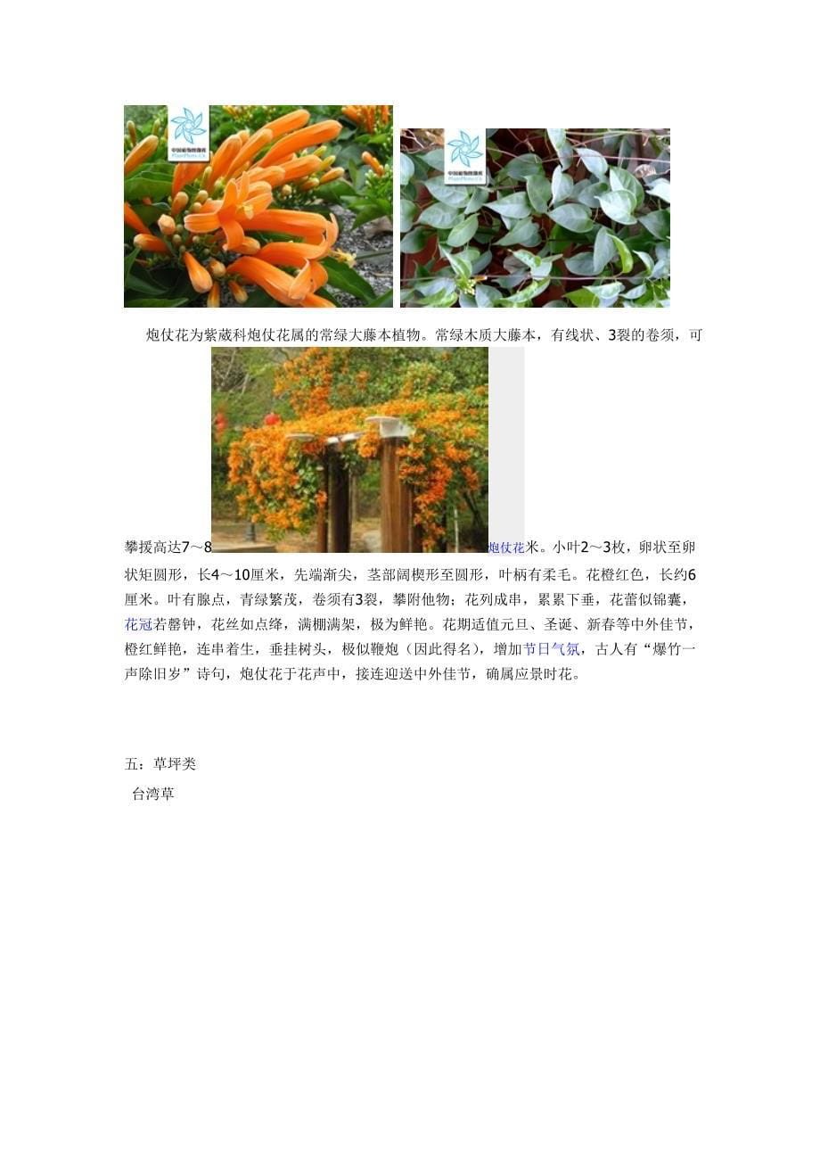 深圳常见绿化植物_第5页