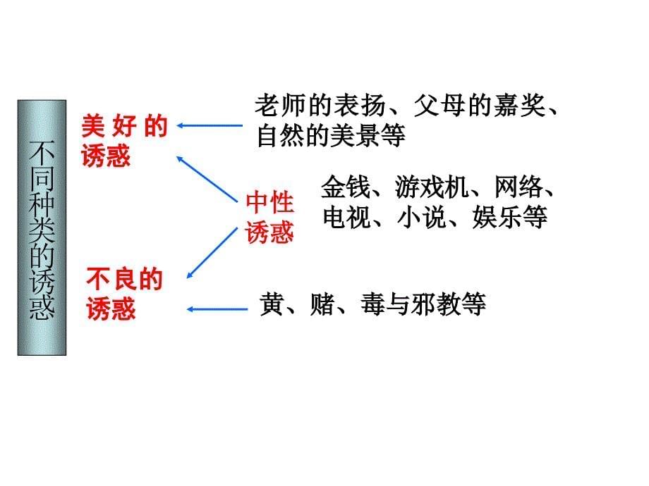 人民版七年级下册第一单元第三课第1课时《“雷区”在哪里》课件（共23张）_第5页