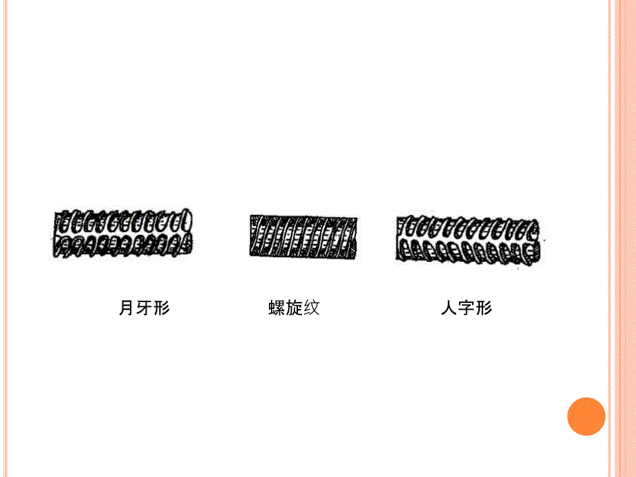 模块三钢筋混凝土结构钢筋课件_第3页