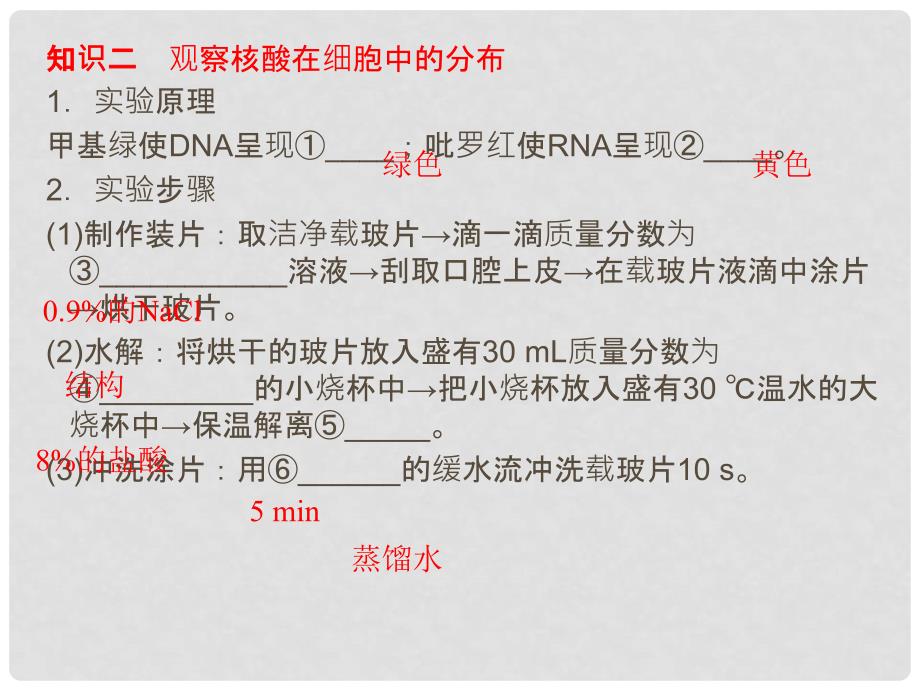 高考生物总复习 2.3《遗传信息的携带者——核酸&#183;细胞中的糖类和脂质》知识研习课件 新人教版必修1_第4页