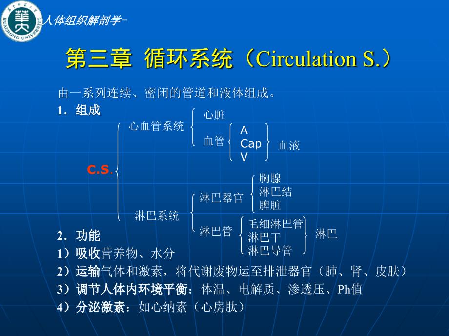 人体组织解剖学课件：第三章 循环系统（Circulation S.）_第1页