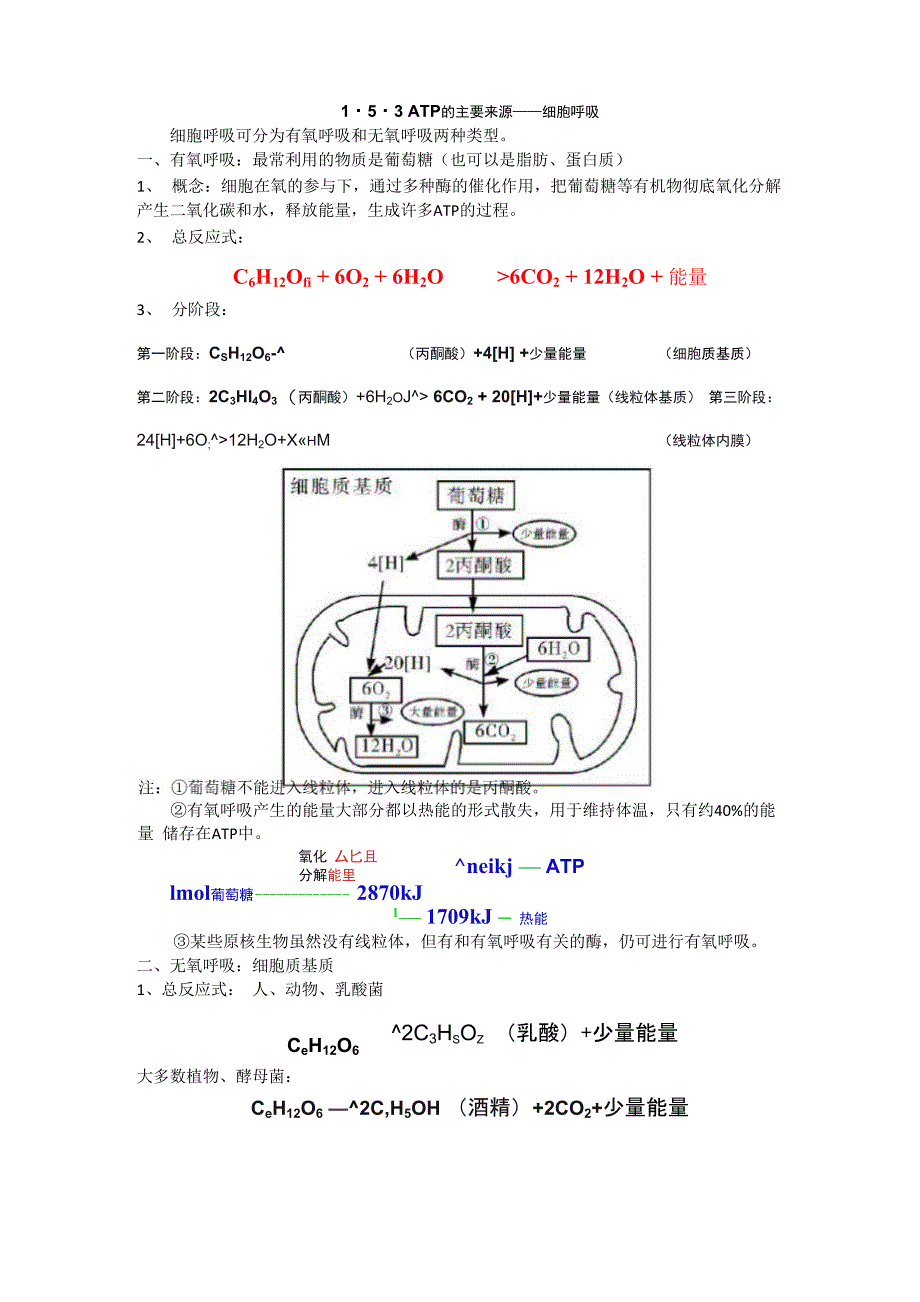 ATP的主要来源_第1页