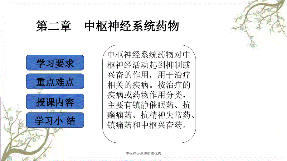 中枢神经系统药物优秀_第1页