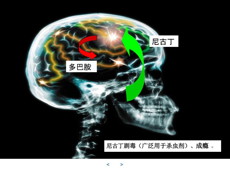 被动吸烟的危害(袁明武)讲义_第3页