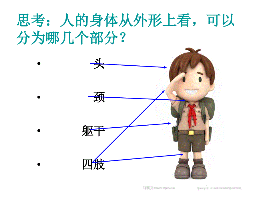 人体的组成科学课件_第2页