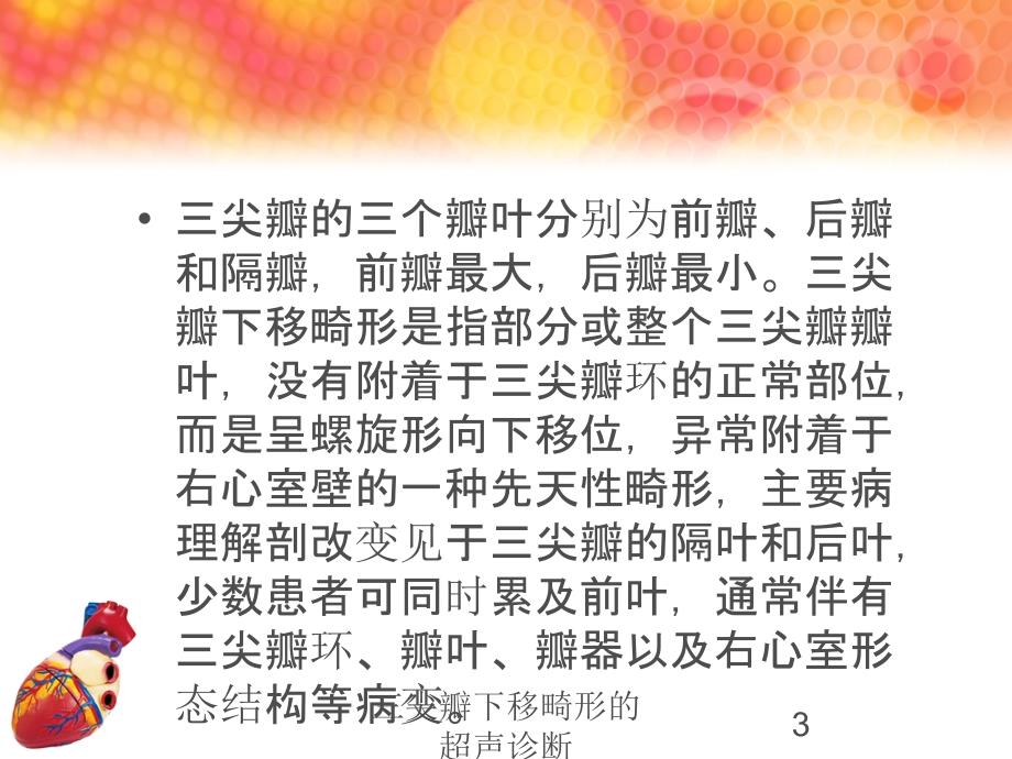 三尖瓣下移畸形的超声诊断培训课件_第3页