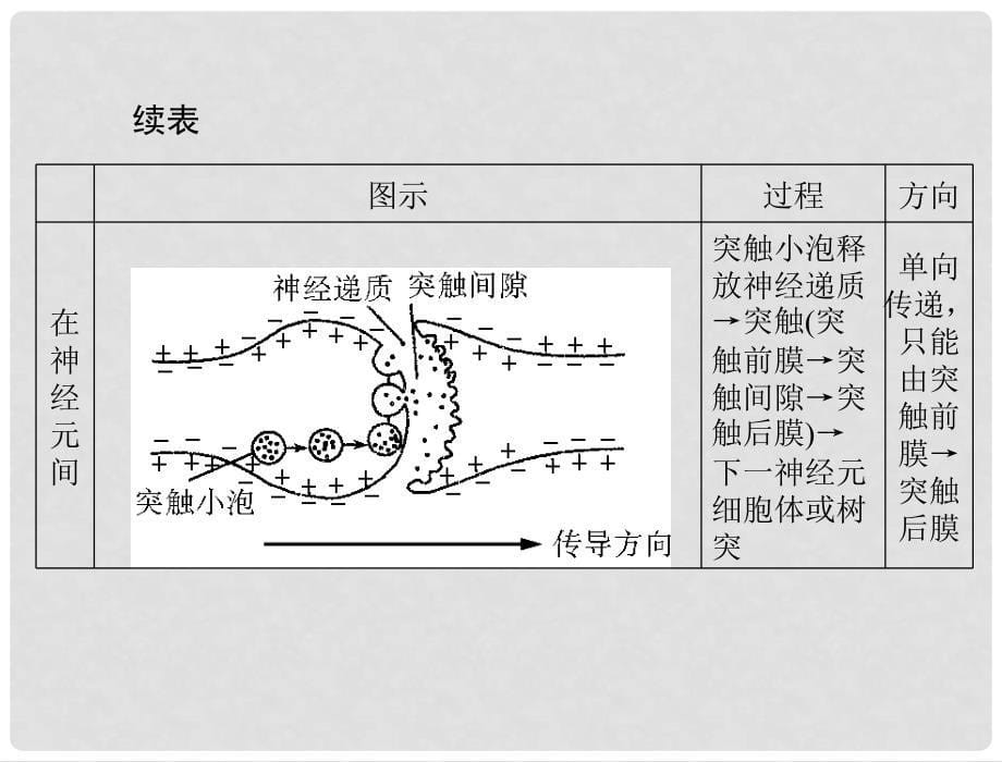 高考生物二轮复习 第一部分 专题六 第1讲人和动物生命活动的调节方式及人体的稳态课件 新人教版_第5页