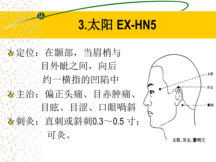 经外奇穴教案_第4页