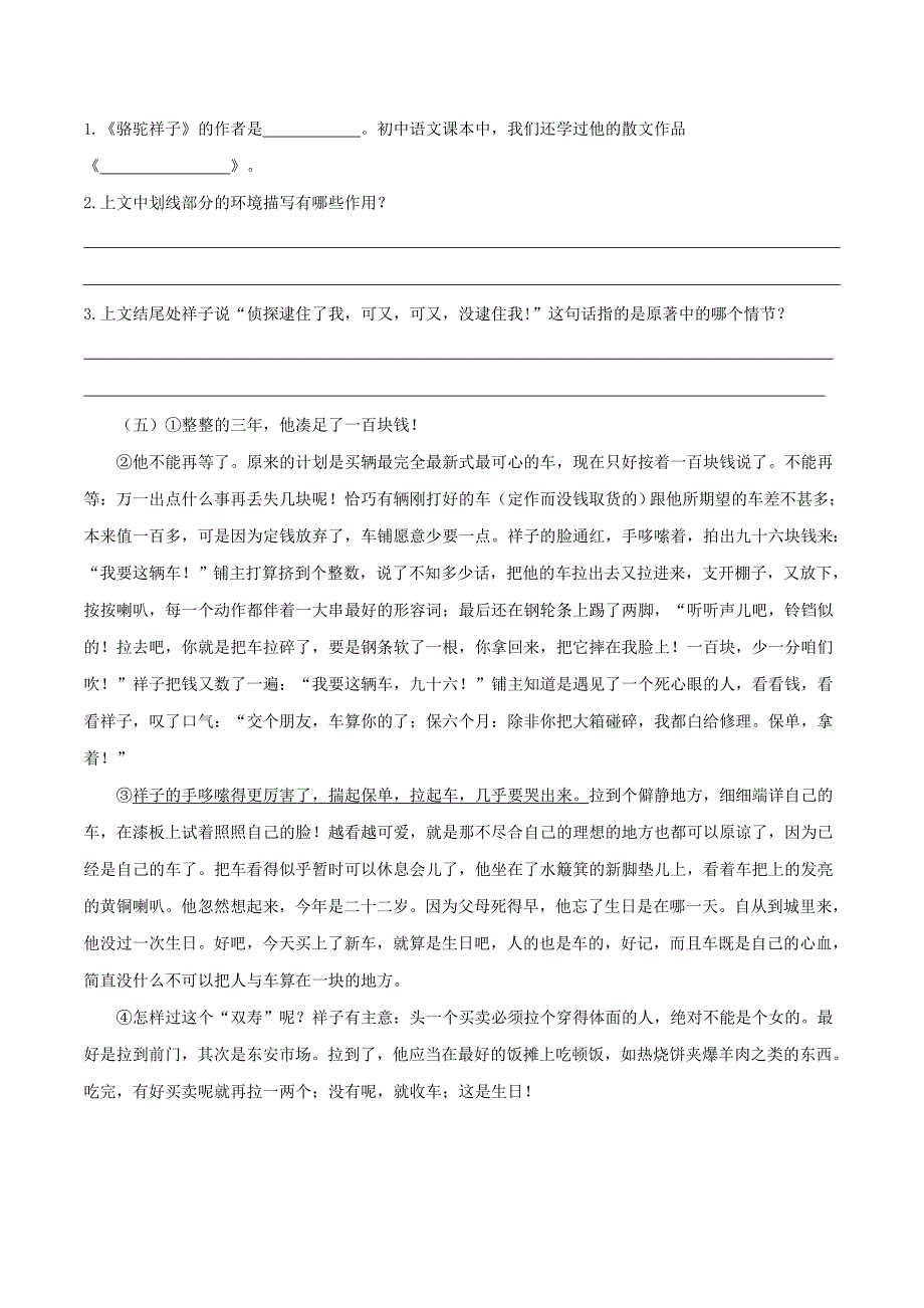 2020年中考语文《考点过关宝典练习》专题26 名著阅读《骆驼祥子》（原卷版）.doc_第5页