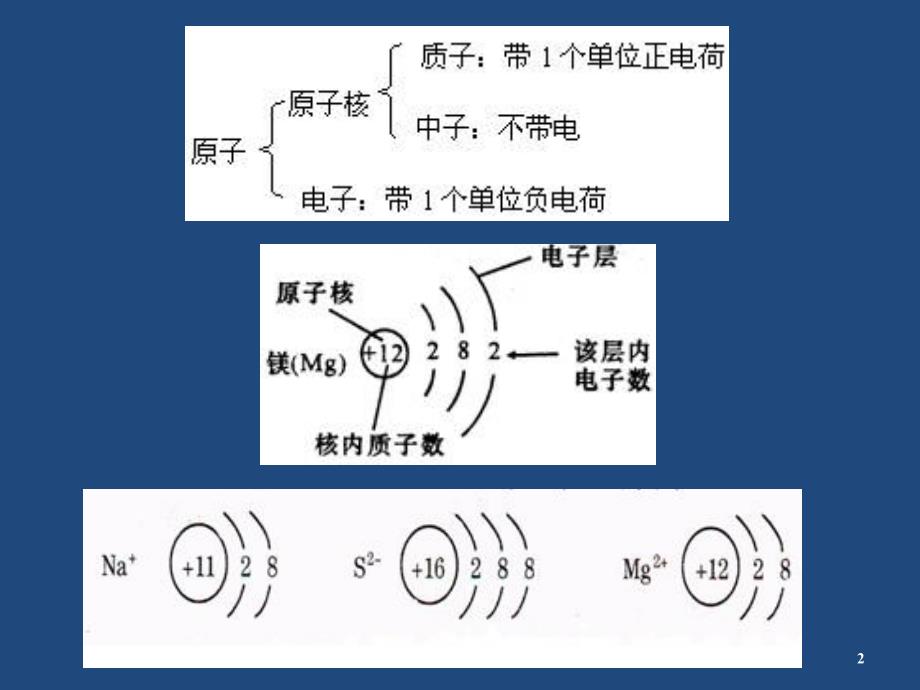 6.糖代谢11019_第2页