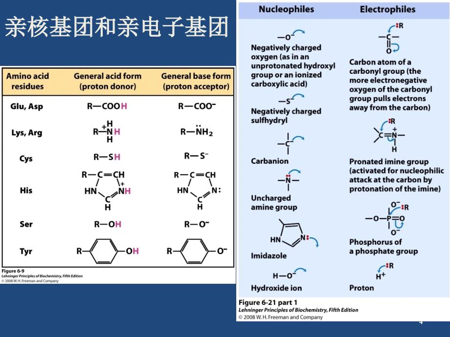 6.糖代谢11019_第4页