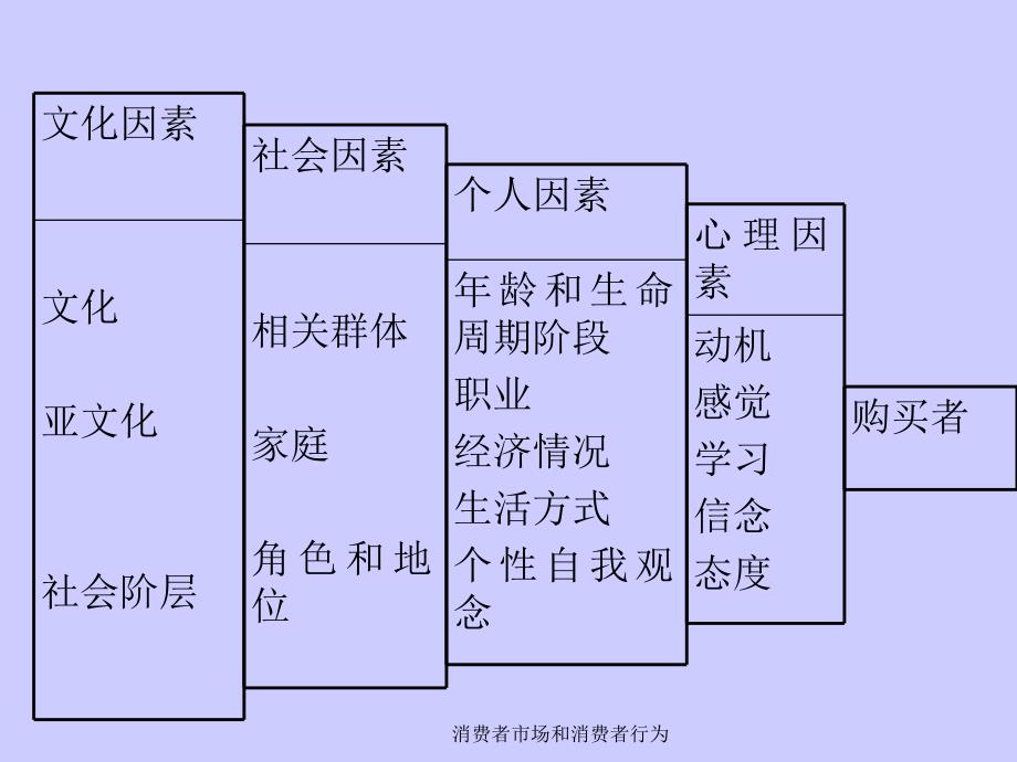 消费者市场和消费者行为课件_第5页