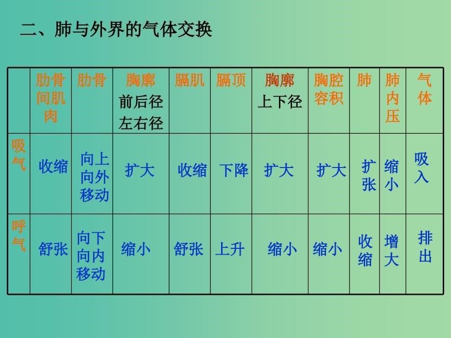 七年级生物下册 3.2 发生在肺内的气体交换课件 新人教版.ppt_第5页