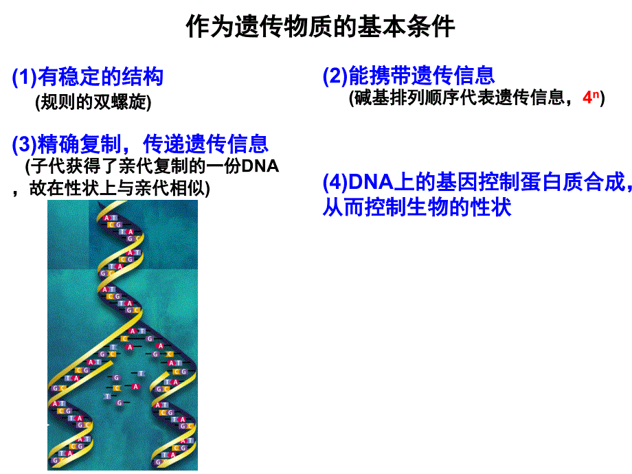 基因控制蛋白质合成课件_第2页