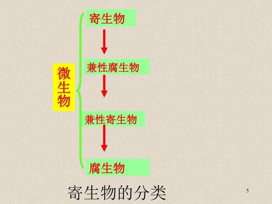 寄生性与致病性演示PPT_第5页