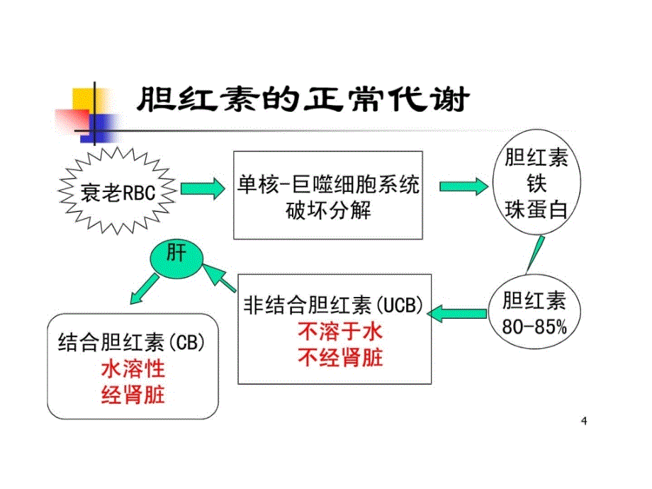 [精华]【中医医学诊断学幻灯片】黄疸131773650305_第4页