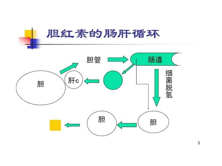 [精华]【中医医学诊断学幻灯片】黄疸131773650305_第5页