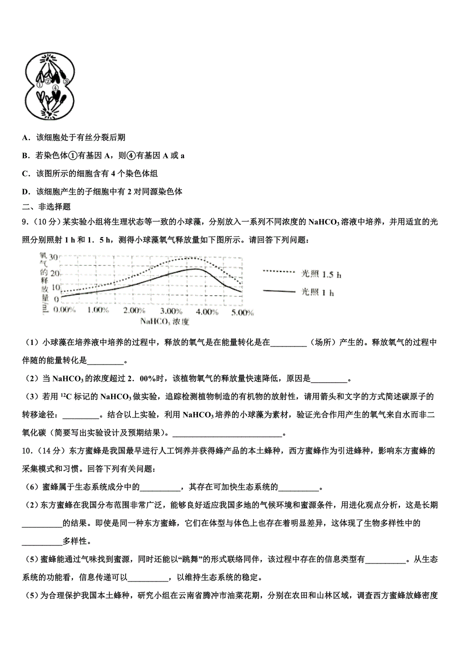 2023学年浙江省宁波市东恩中学高三最后一卷生物试卷(含解析）.doc_第3页