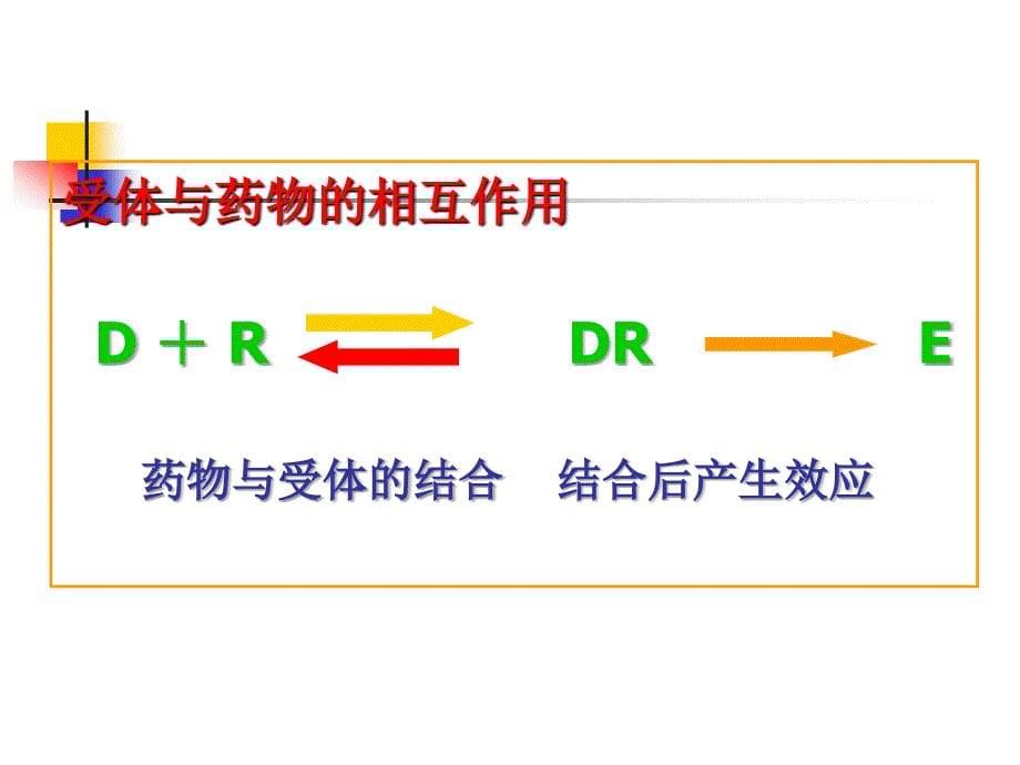 治疗药物监测汪荣军_第5页