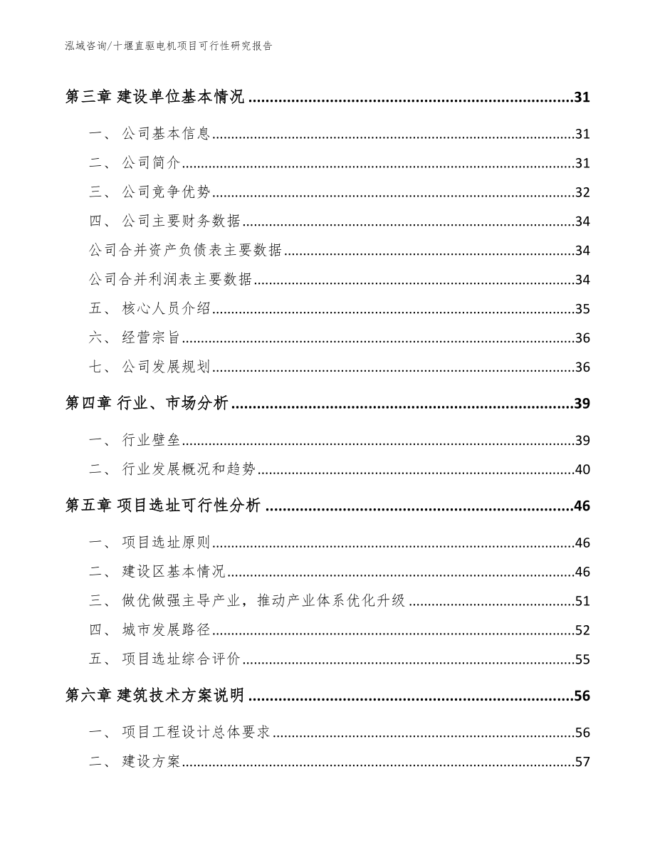 十堰直驱电机项目可行性研究报告_模板_第2页