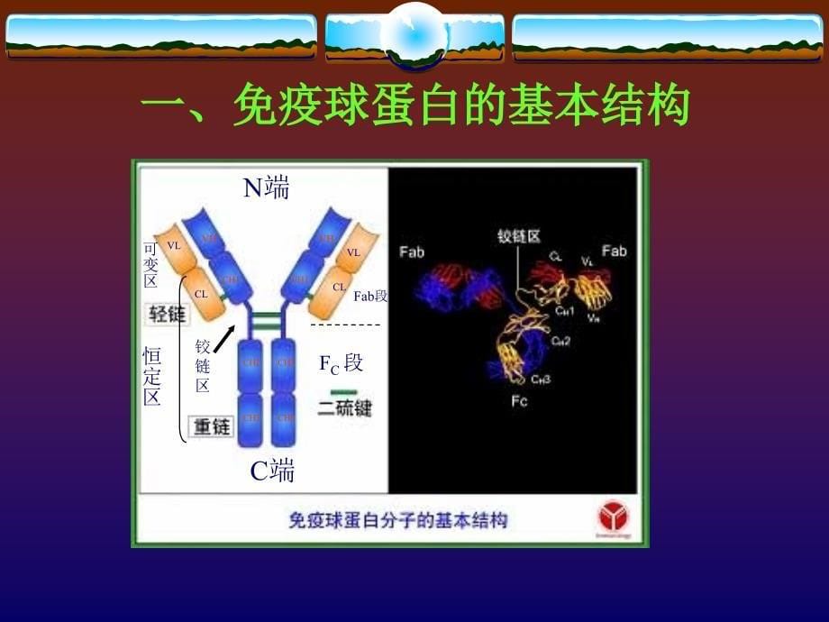 ELISA从基础知识到实操_第5页