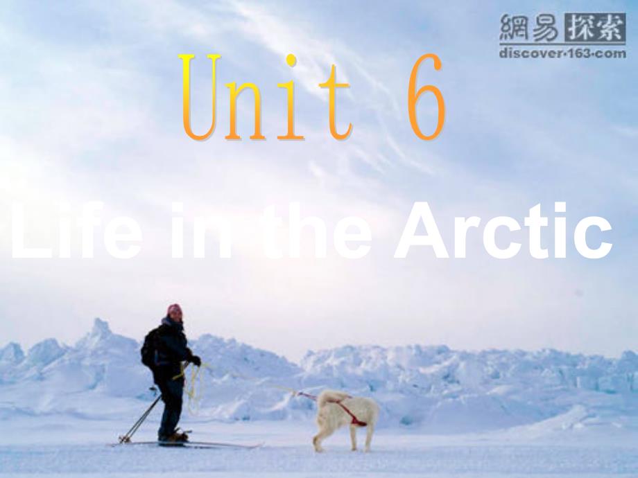 六年级下册LifeintheArctic_第1页