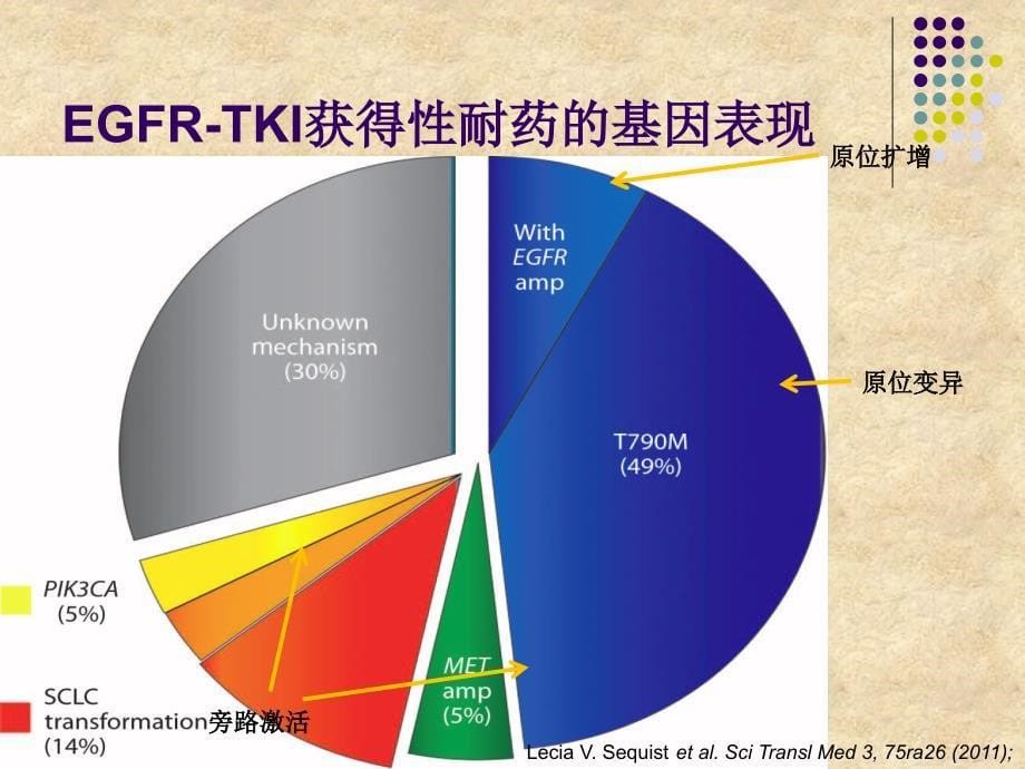 EGFR-TKI耐药后治疗策略课件_第5页