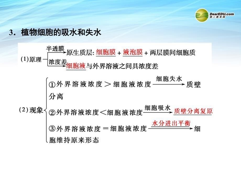 1-2-3物质跨膜运输的实例与方式课件_第5页