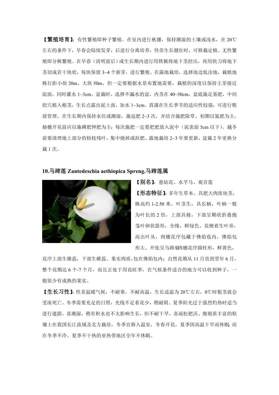 重庆地区常用灌木整理_第5页