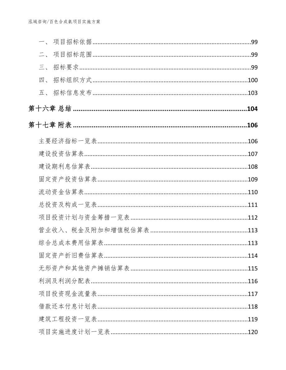 百色合成氨项目实施方案【范文】_第5页