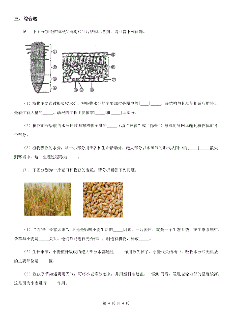 贵阳市2019-2020学年八年级上册生物 4.1.4种子的萌发 同步测试题D卷_第4页