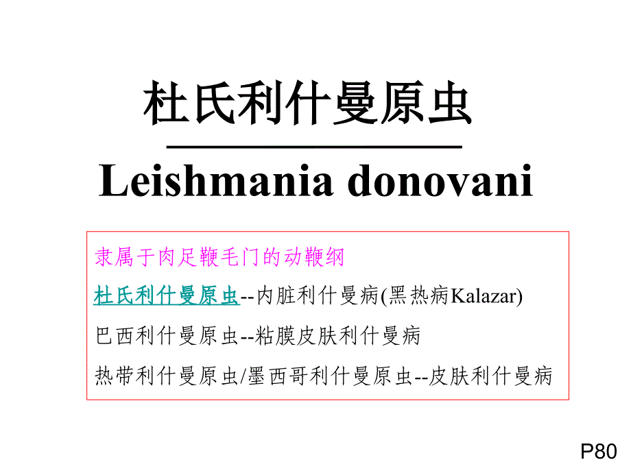 医学微生物学：24-杜氏利什曼原虫_第1页