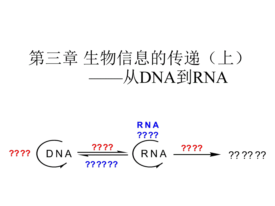 《生物信息的传递上》PPT课件.ppt_第1页