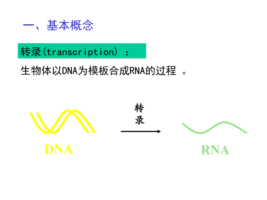 《生物信息的传递上》PPT课件.ppt_第3页