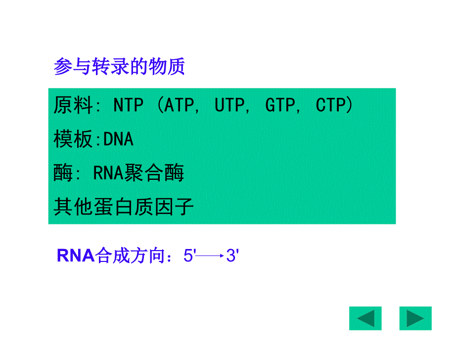 《生物信息的传递上》PPT课件.ppt_第4页