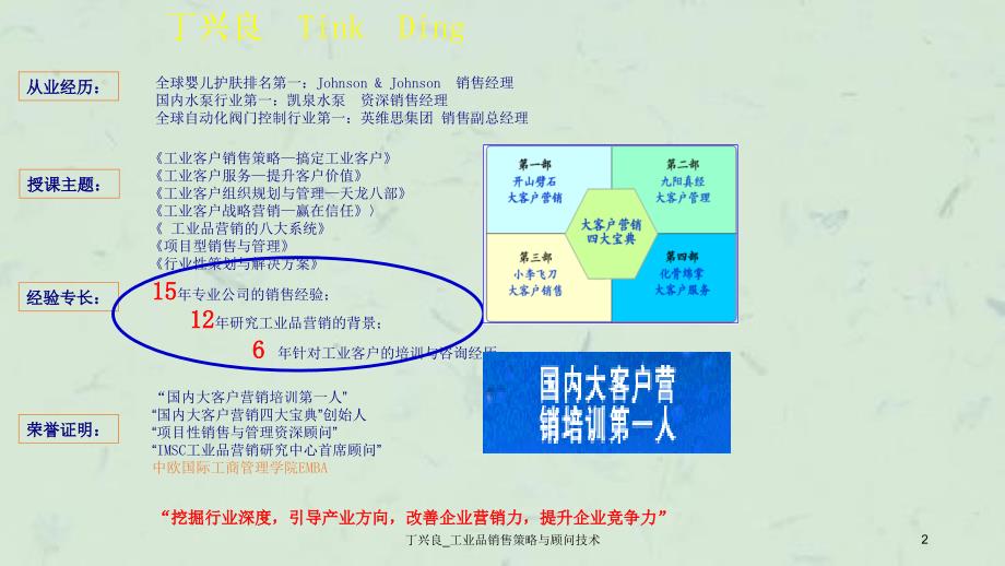 丁兴良工业品销售策略与顾问技术_第2页