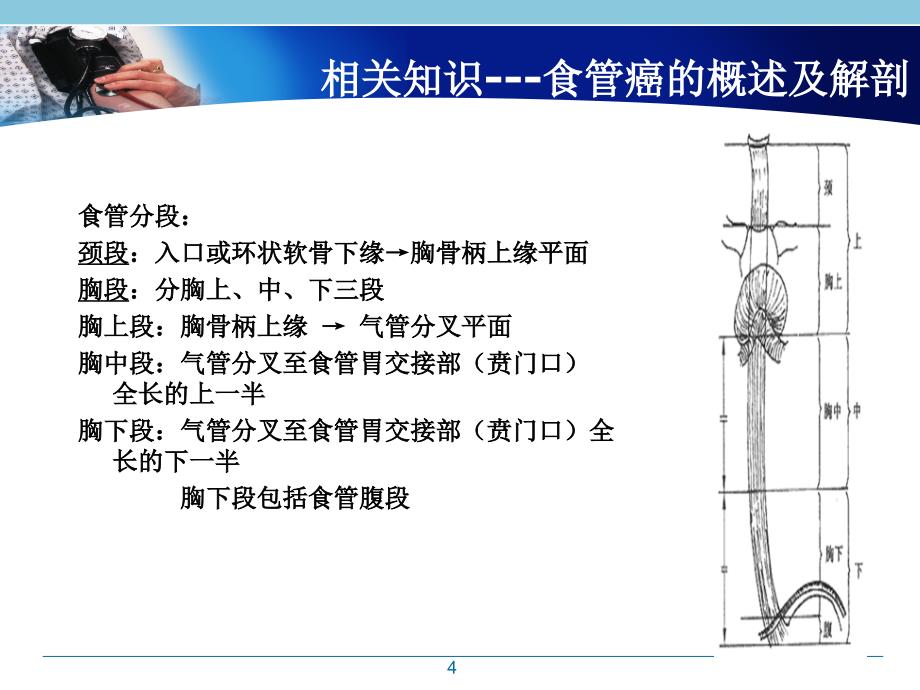 食管癌支架置入护理查房.PPT_第4页