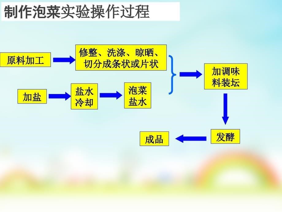 制作泡菜并测定泡菜中亚硝酸盐含量_第5页