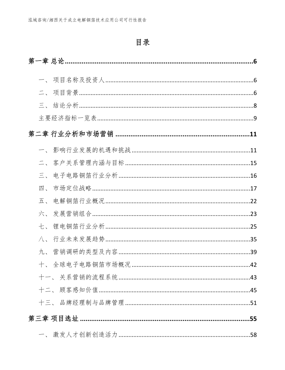 湘西关于成立电解铜箔技术应用公司可行性报告（模板范本）_第2页