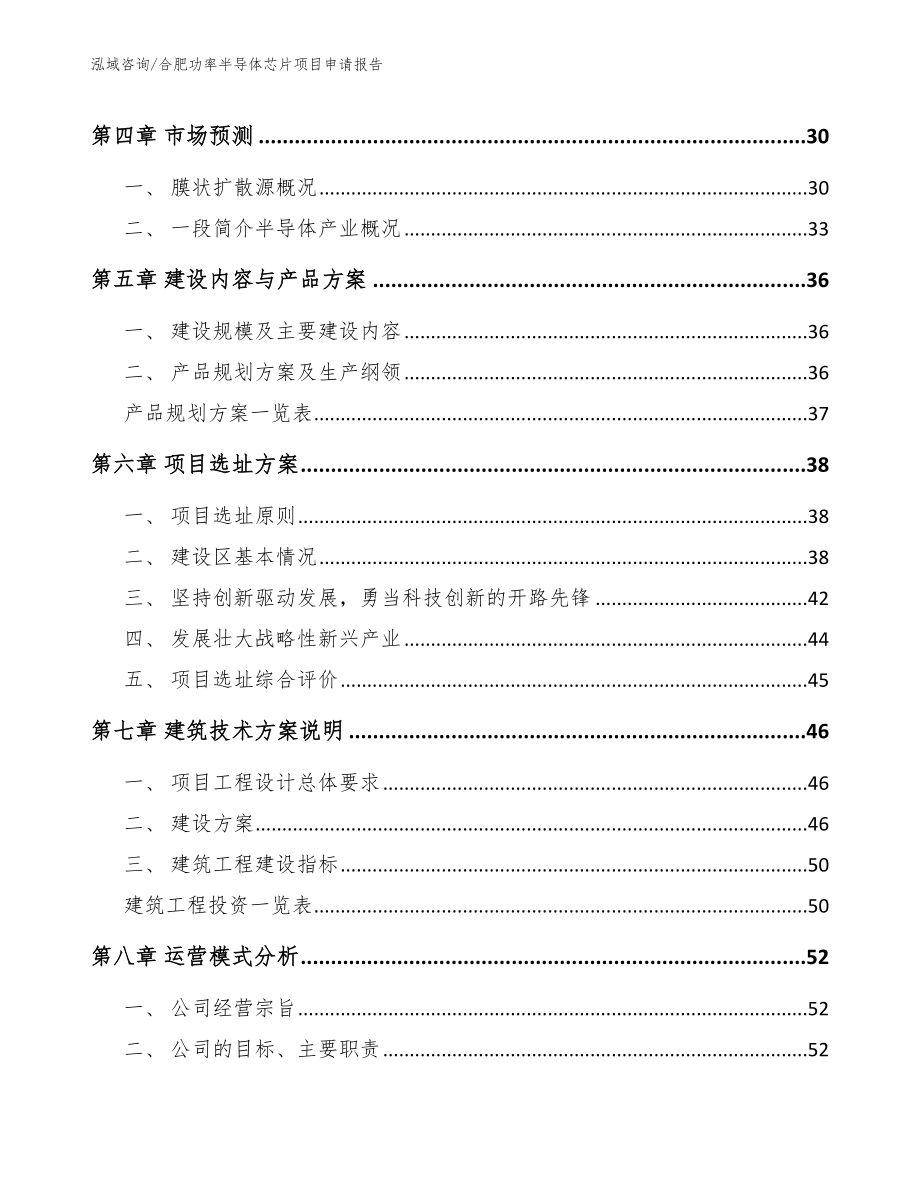 合肥功率半导体芯片项目申请报告_第2页